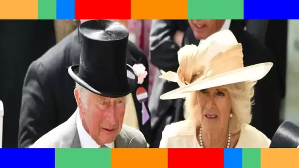 Prince Charles et Camilla  pourquoi ils sont privés de manger certains aliments…