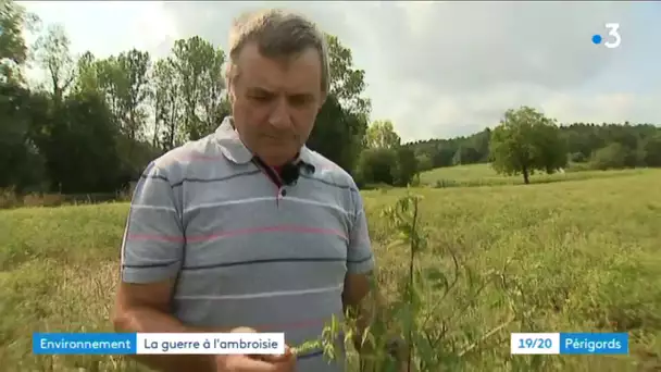 La guerre des agriculteurs contre l&#039;ambroisie