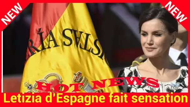 Letizia d’Espagne fait sensation en chignon banane et robe brodée de plumes662322