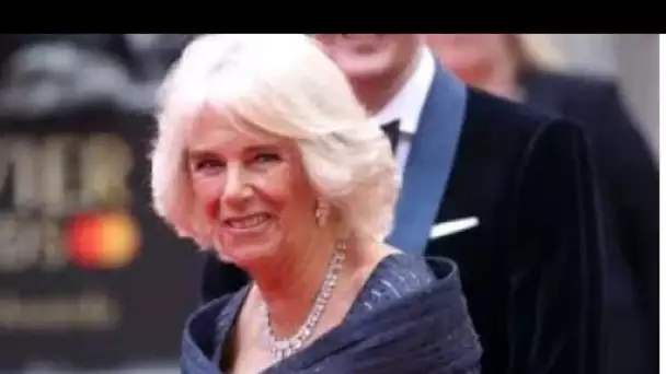 Camilla en tant que reine consort n'était "pas inévitable" - la duchesse "ne s'est pas trompée de pi