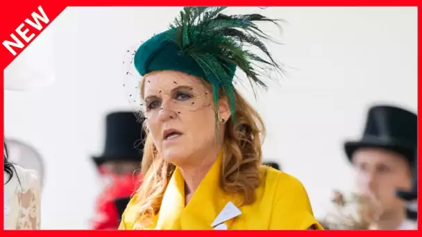 ✅  Sarah Ferguson trahie par Meghan Markle : ce coup bas qu’elle n’a pas vu venir