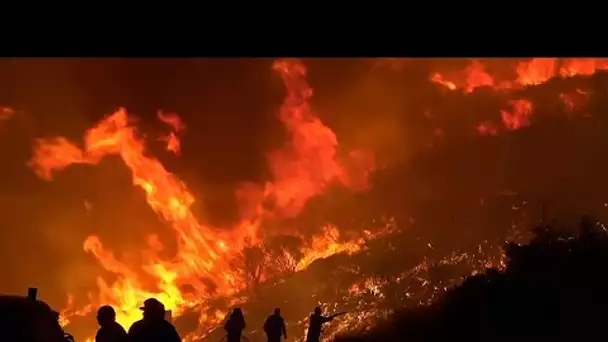 Grèce : un feu de forêt menace une grande oliveraie