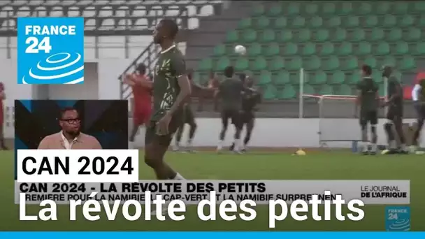 CAN 2024 : la révolte des petits • FRANCE 24