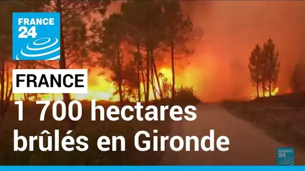 Nouvel épisode caniculaire en France : 1 700 hectares brûlés en Gironde • FRANCE 24