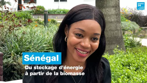 Sénégal : du stockage d’énergie à partir de la biomasse • FRANCE 24