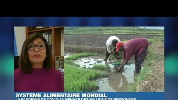 Le Covid-19 met l'Afrique au défi de sa sécurité alimentaire, alerte la FA