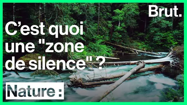 One Square Inch of Silence est l&#039;une des dernières zones de silence aux États-Unis