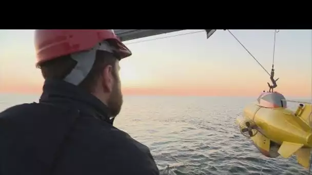 Les câbles sous-marins, cibles de toutes les convoitises