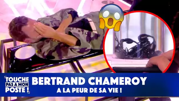 Bertrand Chameroy a la peur de sa vie dans TPMP !