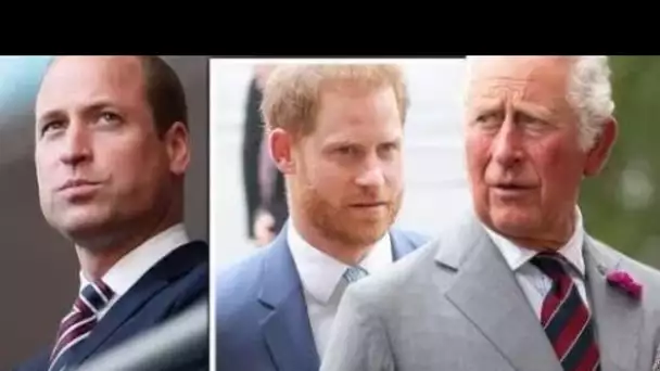 Charles et William "très en colère" contre Harry pour "avoir mis des mots dans leur bouche" - expert