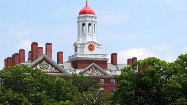 Après des polémiques, la présidente d'Harvard va démissionner