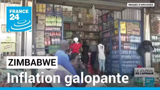 Inflation galopante au Zimbabwe : la population se tourne vers le marché noir • FRANCE 24