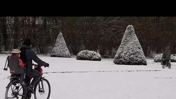 Des skieurs de fond à Bruxelles