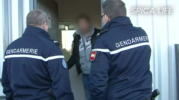 Opération Anti fraude, la réponse des gendarmes