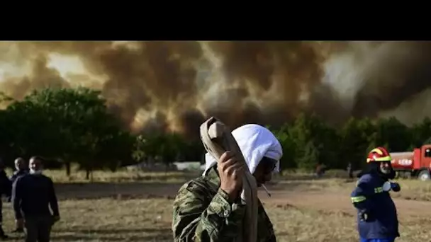 Incendie en Grèce : la bataille des habitants de Krioneri