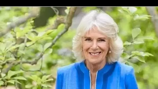 Camilla « ne pouvait pas donner deux huées » à propos du titre de reine consort mais Charles « l'a t