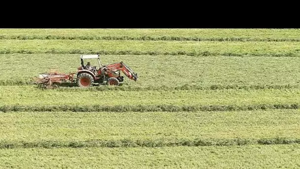 Réforme de la PAC : accord entre eurodéputés et Etats de l'UE pour une agriculture plus verte