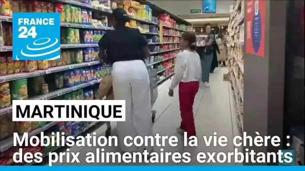 Martinique : derrière la mobilisation, des prix alimentaires exorbitants • FRANCE 24