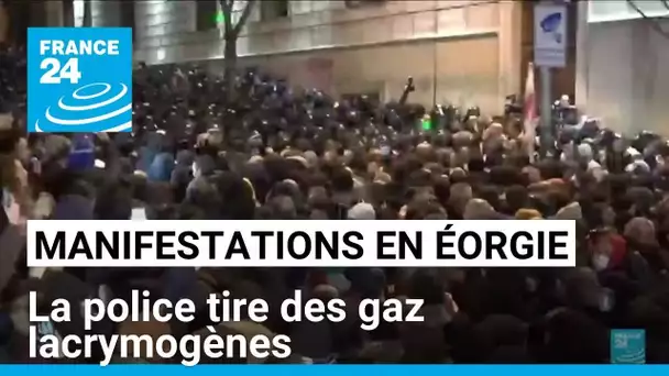 En Géorgie, la police tire des gaz lacrymogènes contre des manifestants pro-UE • FRANCE 24