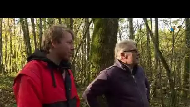 En Corrèze, la société Avenir Forêt tente la sylviculture durable