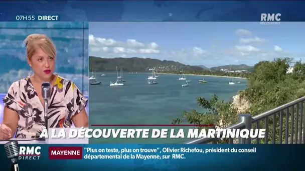 Vos vacances en France: découvrez la Martinique