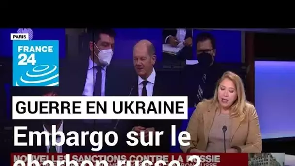 Sanctions contre la Russie : l'UE prêt à un embargo sur le charbon russe • FRANCE 24