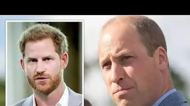 Le prince William «presque en larmes» à cause de Harry remettant en question le lien fraternel «véri