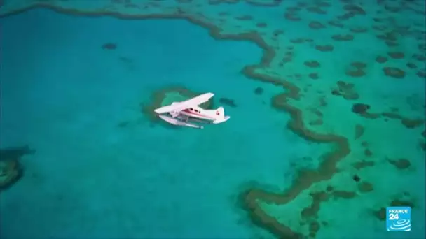 La Grande Barrière de corail "en danger" pour l'Unesco, l'Australie prête à contester