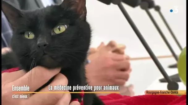 La médecine préventive pour nos animaux de compagnie