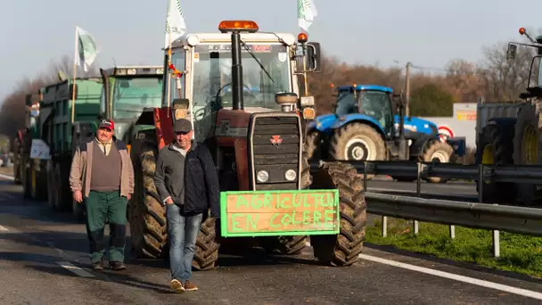 «L'acte II ne fait que commencer» : huit mois après, la mobilisation des agriculteurs pourrait s'…