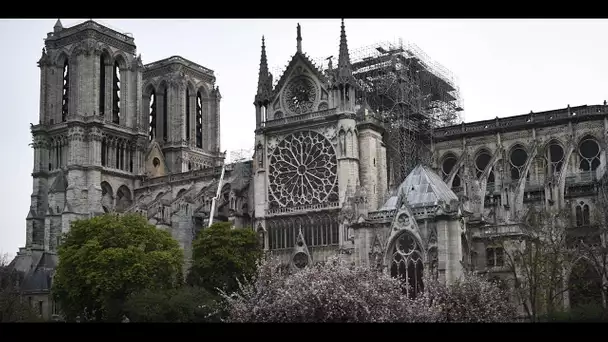 Reconstruire à l'identique Notre-Dame de Paris ? "C'est quasiment impossible", estime l'architect…