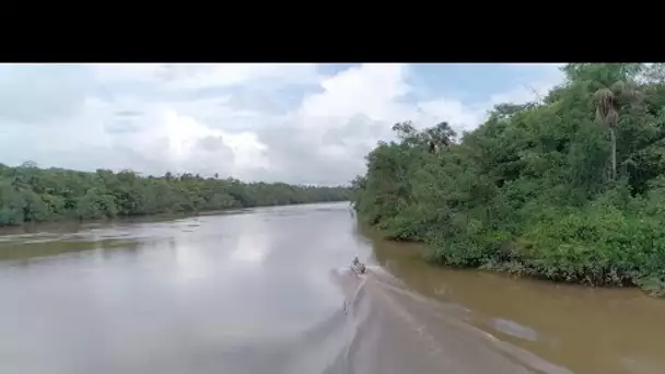 En Guyane, un royaume vert à protéger