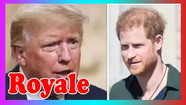 Donald Trump affirme quele prince Harry regretterad'avoir épousé Meghan Marklebon aux prévisions