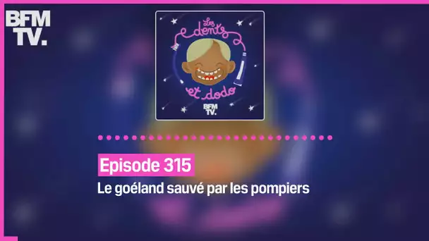 Épisode 315 : Le goéland sauvé par les pompiers - Les dents et dodo