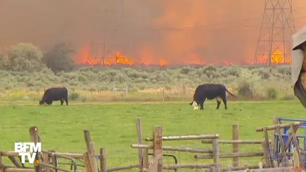 Un impressionnant incendie menace la ville de Spokane dans le Nord-Ouest des États-Unis