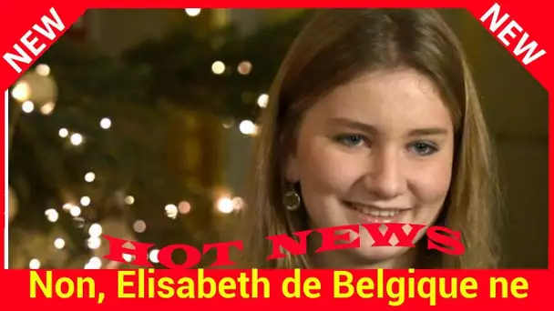 Non, Elisabeth de Belgique ne touchera pas une dotation de 2500 euros par jour