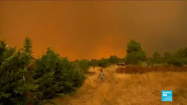 "Catastrophe écologique" sur l'île grecque d'Eubée ravagée par les flammes