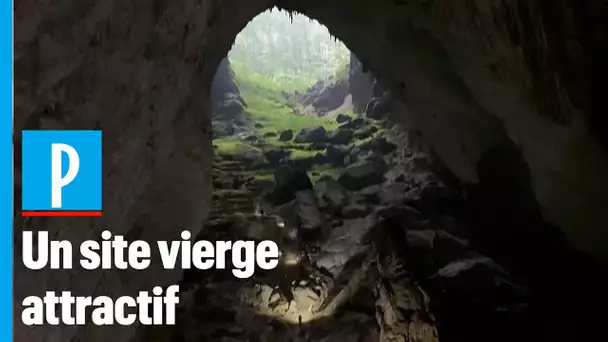 Vietnam : Son Doong, la plus grande grotte du monde menacée