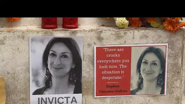 Daphne Caruana Galizia, la journaliste qui a changé Malte