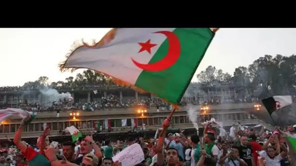 Réactions à Alger après la victoire de l'Algérie en Coupe d'Afrique des nations (1-0)