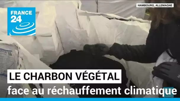 Journée mondiale de l'environnement : du charbon végétal face au réchauffement climatique