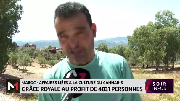 Maroc-affaires liées à la culture du cannabis : grâce royale au profit de 4831 personnes