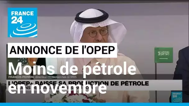 L'OPEP+ baisse sa production de pétrole • FRANCE 24