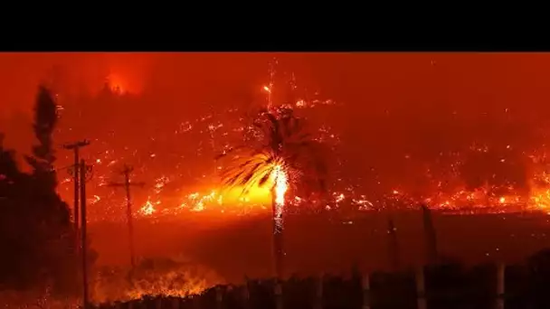 En Californie, des vignobles de la Napa Valley ravagés par les flammes