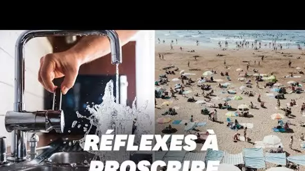 Les conseils anti-canicule... à ne pas suivre