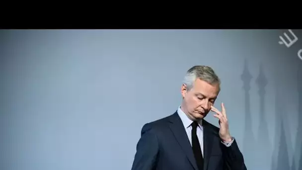 Bruno Le Maire et… les hippopotames : cette demande insolite faite au ministre de...