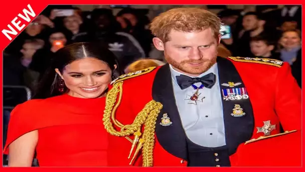 ✅  Harry et Meghan distribuent de l’argent… malgré leurs dettes et une grosse polémique