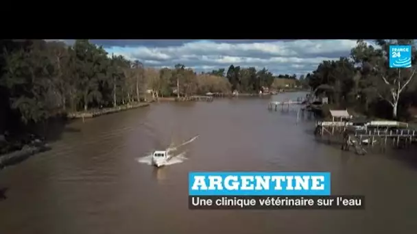 Argentine : une clinique vétérinaire sur l'eau