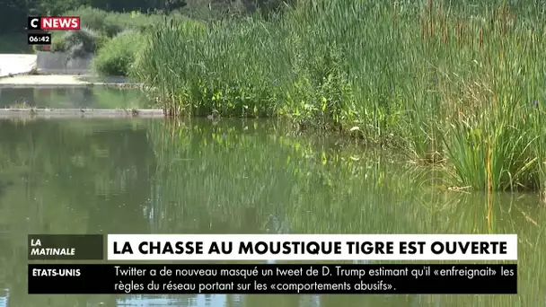 La chasse au moustique tigre est ouverte