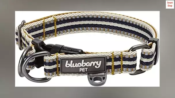 Blueberry Pet 10+ Colors 3M Reflective Multi-Colored Stripe Adjustable Dog Collar, Olive